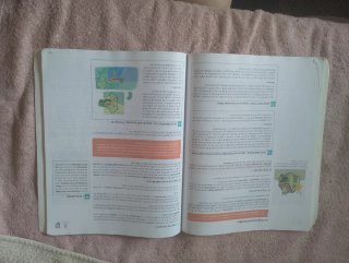 Operaciones auxiliares de gestión de tesorería