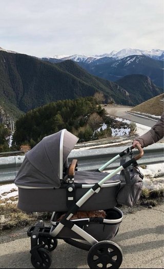 Joolz Geo 2 Cochecito Capazo y Silla de paseo