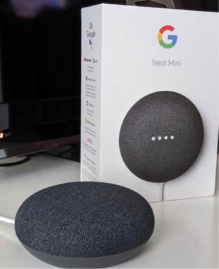 Google Nest Mini Gris