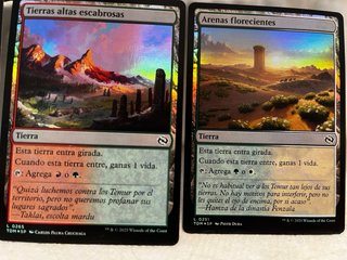 5 Cartas Magic Tierra Tarkir