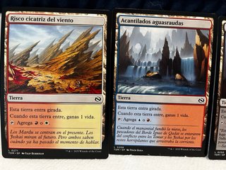 5 Cartas Magic Tierra Tarkir