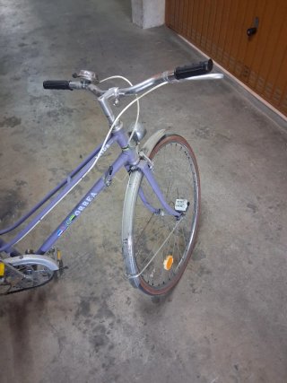 Bicicleta Orbea Morada
