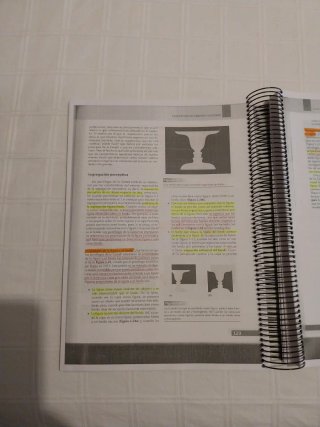 Sensación y percepción: (1ª edición en Español ...