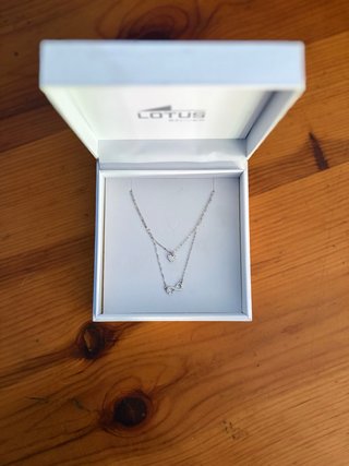 Collar Lotus Doble Corazón e Infinito Plata