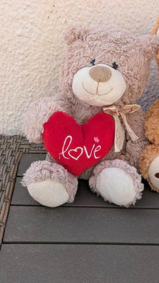 Lote de 5 peluches de osos y corazón