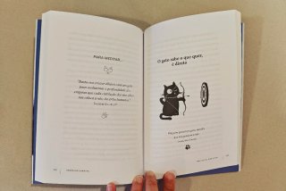 Meu gato, meu guru (Portuguese Edition)