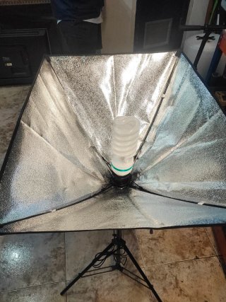 Foco Fotografía Fotima