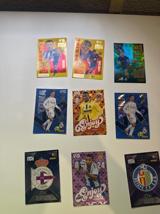 Cromos Panini Jugadores Liga