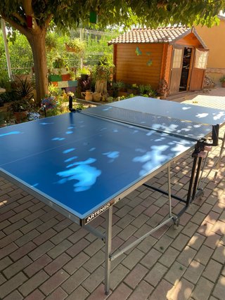 Mesa de Ping Pong Artengo
