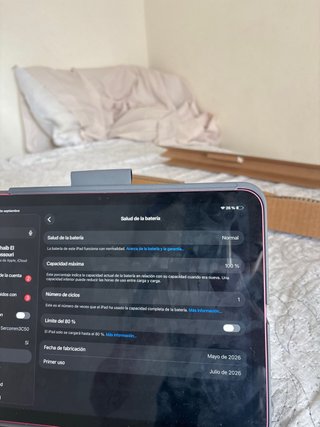 Apple iPad mini rosa