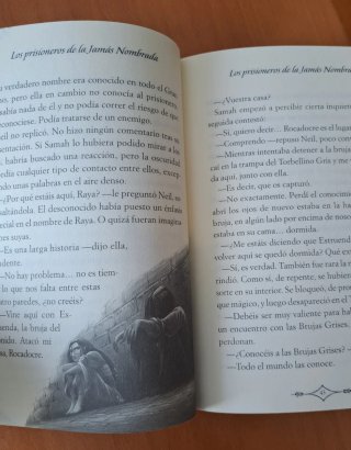 Bruja de las Cenizas. Libro.