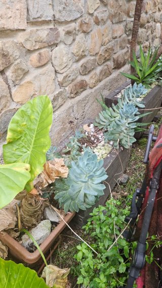 Jardineras de madera