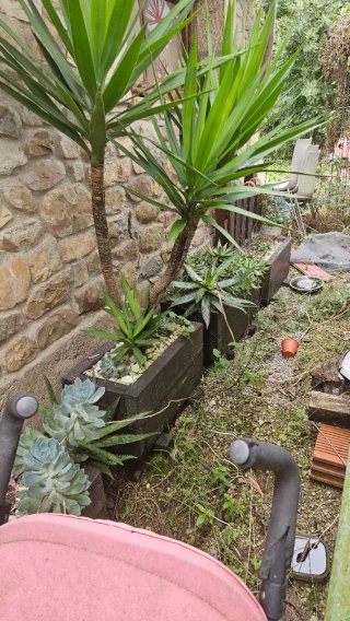 Jardineras de madera
