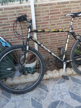 Bicicleta de Montaña