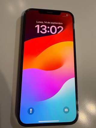 iPhone 12 Pro Max