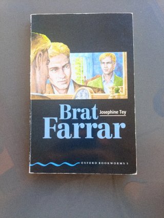 Lote de libros en Inglés