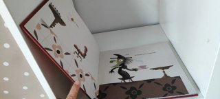 Libro "Polita" de Harold Jiménez Canizales