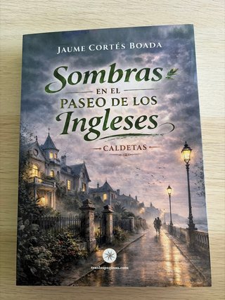 Sombras en el paseo de los Ingleses (Spanish Ed...