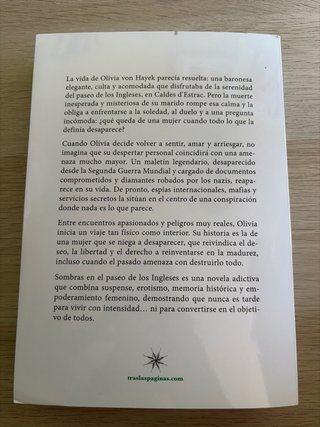 Sombras en el paseo de los Ingleses (Spanish Ed...