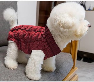 Accesorio exquisito para mascotas