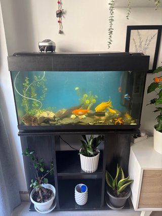 Acuario con mueble