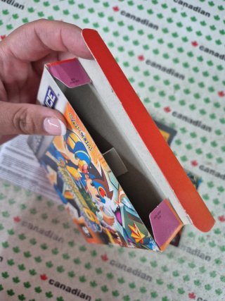 Mega Man 6 Battle Network Game Boy Advance