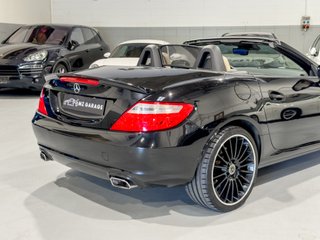 MERCEDES-BENZ SLK 250 CDI 7G-TRONIC PLUS