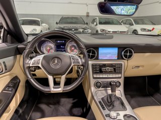 MERCEDES-BENZ SLK 250 CDI 7G-TRONIC PLUS