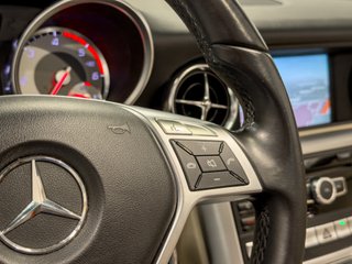 MERCEDES-BENZ SLK 250 CDI 7G-TRONIC PLUS