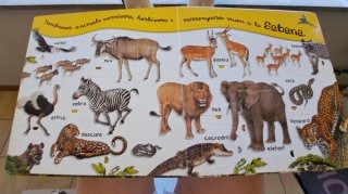 Libro infantil Selva Todolibro (catalan)