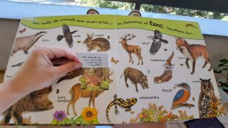 Libro infantil Selva Todolibro (catalan)