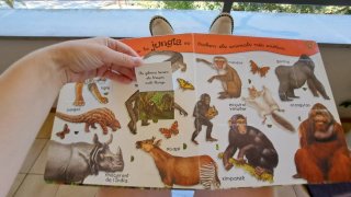 Libro infantil Selva Todolibro (catalan)