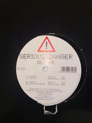 Lotto dischi in vinile house dj