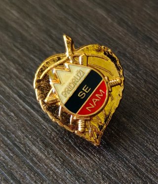 Lote de insignias militares