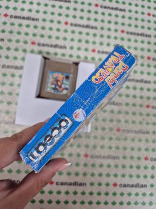 Daniel Travieso Game Boy