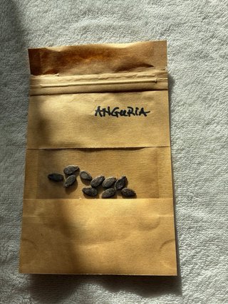 Semi di Anguria - 10 Semi