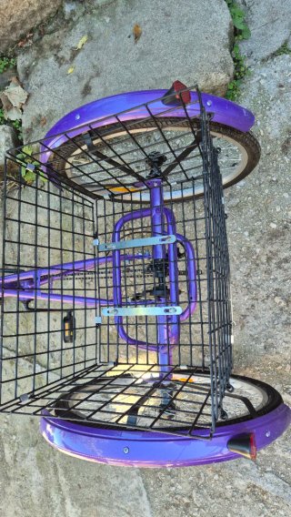 Bicicleta Triciclo Adultos 7 Velocidades Cesta