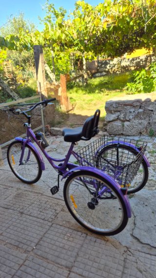 Bicicleta Triciclo Adultos 7 Velocidades Cesta