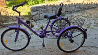 Bicicleta Triciclo Adultos 7 Velocidades Cesta