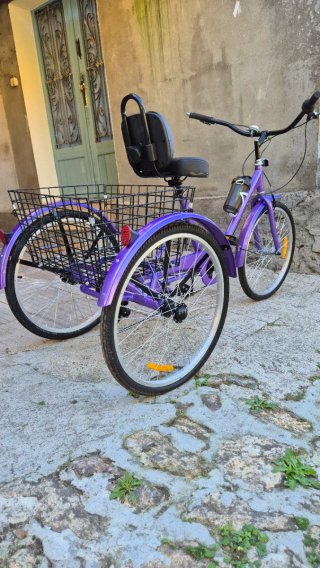 Bicicleta Triciclo Adultos 7 Velocidades Cesta