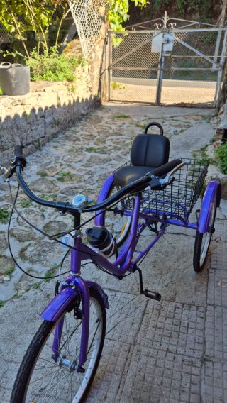 Bicicleta Triciclo Adultos 7 Velocidades Cesta