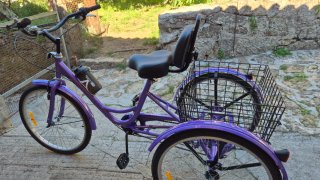 Bicicleta Triciclo Adultos 7 Velocidades Cesta