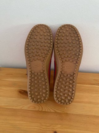 Zapatillas Nike Rojas y Azules
