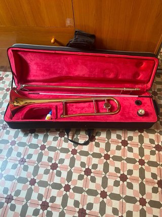 Trombón Thomann con funda