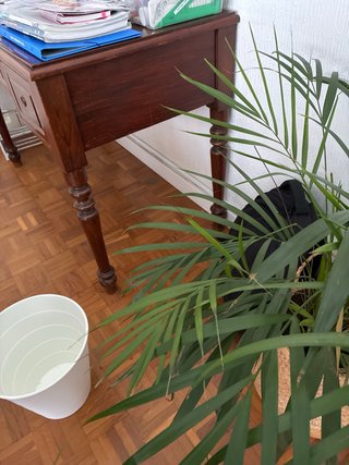 Escritorio de madera de cerezo