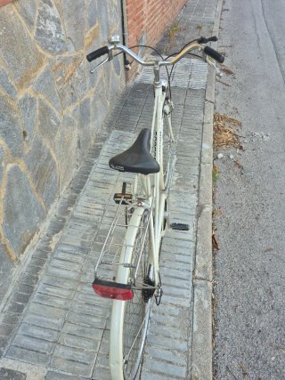 Bicicleta Paseo Carraro 728