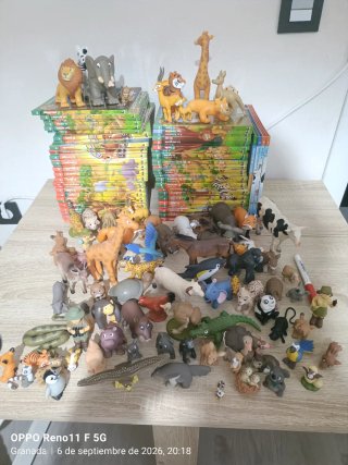 Colección libros infantiles "Animales Salvajes"