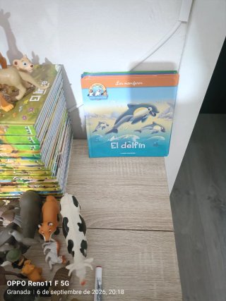 Colección libros infantiles "Animales Salvajes"