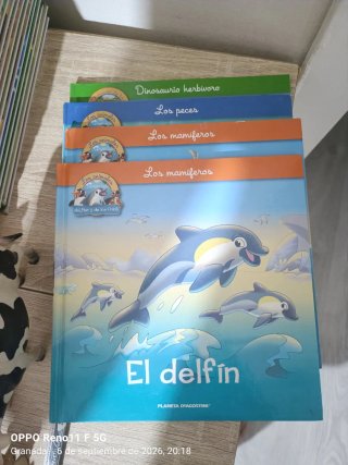 Colección libros infantiles "Animales Salvajes"