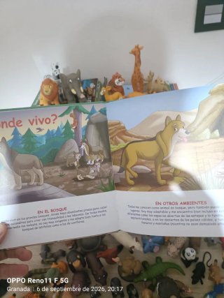 Colección libros infantiles "Animales Salvajes"